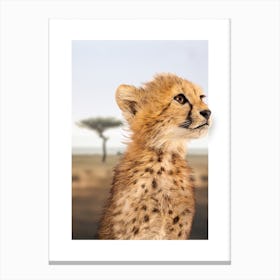 Cheetah Cub Canvas Print