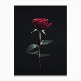 Single Red Rose On Black Background 32 Canvas Print