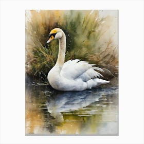 Calm Bewick S Swan Canvas Print