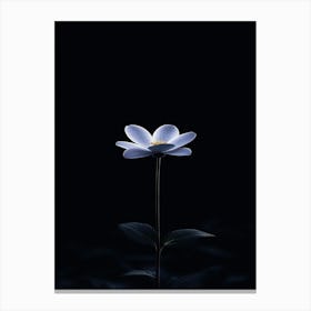 Flower In The Dark 1 Canvas Print