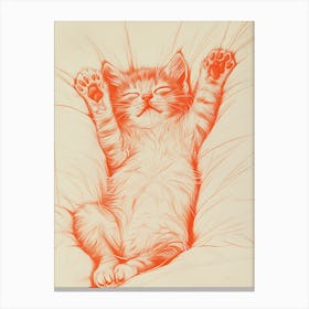 Kitty Cat 4 Canvas Print