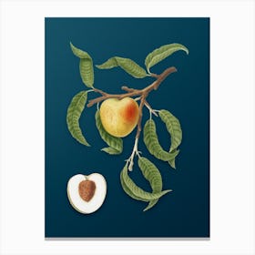 Vintage Peach Botanical Art on Teal Blue n.0694 Canvas Print