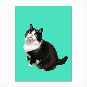 Cat Portrait 6 Canvas Print