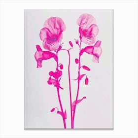 Hot Pink Foxglove 2 Canvas Print