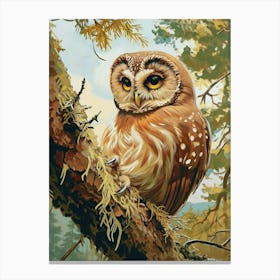 Northern Saw Whet Owl Relief Illustration 2 Canvas Print