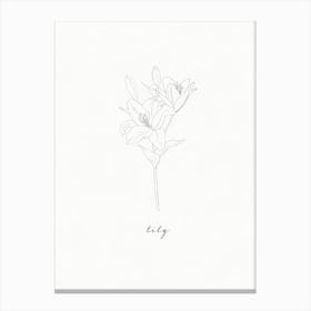 Lily Line Drawing Canvas Print