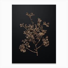 Gold Botanical Atlantic White Cypress on Wrought Iron Black n.0228 Canvas Print
