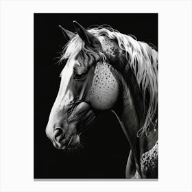 Horse Portrait 1 Canvas Print