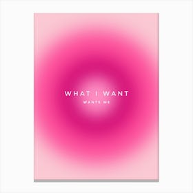 What I Want Wants Me Quote Aura Canvas Print