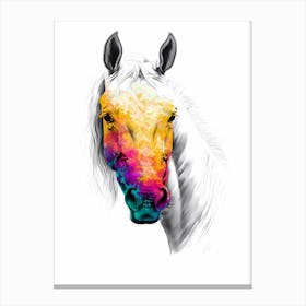 Horse Wild Tribal Illustration Art 06 Canvas Print