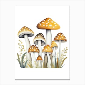 Mushrooms On A White Background Canvas Print