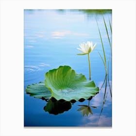 Macro Photography Of A Delicate Green Leaf Resting Upon The Surface Of A Tranquil Swedish Duck Pond 2 Canvas Print