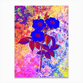 Rose of Castile Botanical in Acid Neon Pink Green and Blue n.0223 Canvas Print