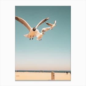 Seagulls Flying Over The Beach Canvas Print