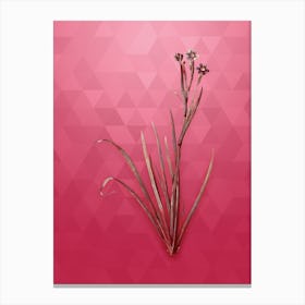 Vintage Bermudiana Botanical in Gold on Viva Magenta n.0667 Canvas Print