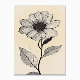 Line Art Sunflower Flowers Illustration Neutral 13 Canvas Print