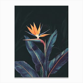 Bird Of Paradise 19 Canvas Print