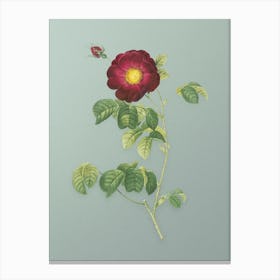 Vintage Rose Botanical Art on Mint Green n.0654 Canvas Print