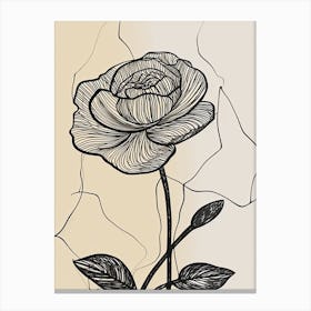 Line Art Roses Flowers Illustration Neutral 9 Canvas Print