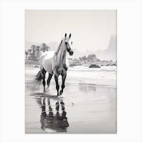 A Horse Oil Painting In Camps Bay Beach, South Africa, Portrait 1 Canvas Print