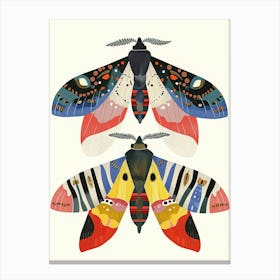 Colourful Insect Illustration Moth 57 Canvas Print
