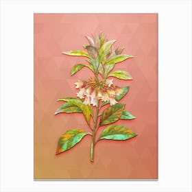 Vintage Chinese New Year Flower Botanical Art on Peach Pink n.0096 Canvas Print