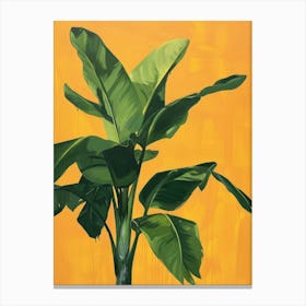 Banana Plant 1 Canvas Print