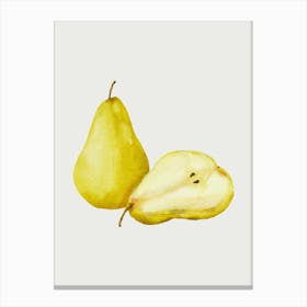 Yellow Pears Canvas Print