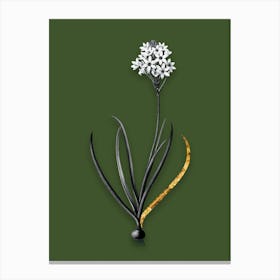 Vintage Arabian Starflower Black and White Gold Leaf Floral Art on Olive Green n.0908 Canvas Print