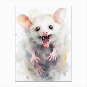 Light Watercolor Painting Of A Hissing Possum 2 Canvas Print