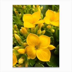 Yellow Flowers Canvas Print