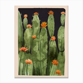 Blooming Cactus 2 Canvas Print