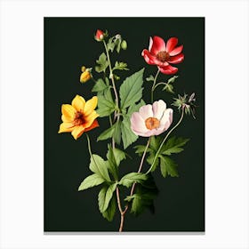 Flowers On A Black Background 22 Canvas Print