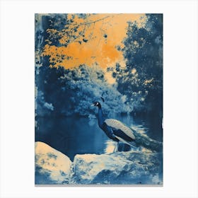 Blue & Orange Peacock By The Lake Canvas Print