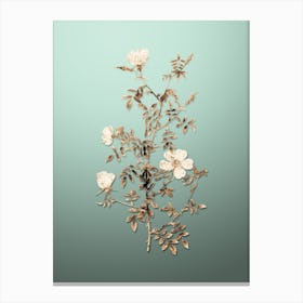 Gold Botanical Hedge Rose on Mint Green Canvas Print