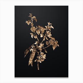 Gold Botanical Judas Tree on Wrought Iron Black n.3828 Canvas Print