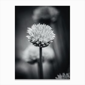 All Alone With My Thoughts Black And White 2 Canvas Print