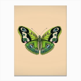 Butterfly grren Canvas Print
