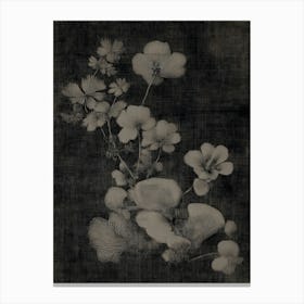 Chinese Flowers Canvas Print