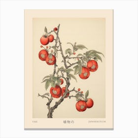 Ume Japanese Plum 1 Vintage Japanese Botanical Poster Canvas Print