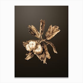 Gold Botanical Hawthorne on Chocolate Brown Canvas Print