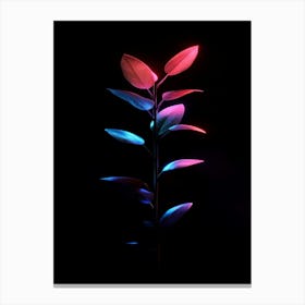 Flower On A Black Background Canvas Print