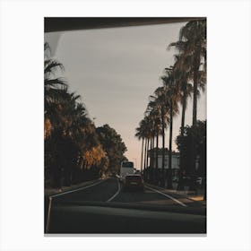 Palm Trees On The Road Canvas Print