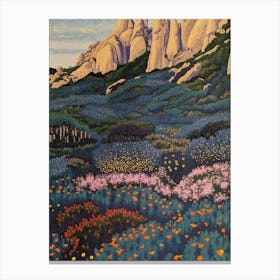 California Wildflowers Canvas Print