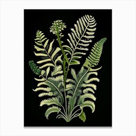 Ebony Spleenwort Wildflower Vintage Botanical Canvas Print