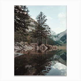 Pine Trees Along Lake Canvas Print