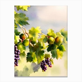 Grapes Italian Watercolour fruit Canvas Print
