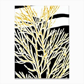 Acropora Aculeus Linocut Canvas Print