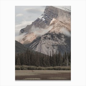 Elk In Mountain Valley Canvas Print