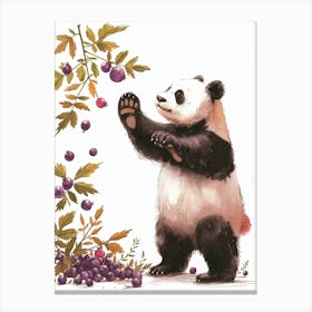 Giant Panda Standing And Reaching For Berries Storybook Illustration 8 Canvas Print